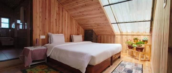 Family cedar suite